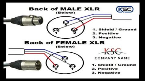 Xlr To Xlr Wiring Diagram