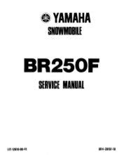 Yamaha Br250 1998 Repair Service Manual