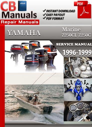 Yamaha Z250cl Z250c 2003 2008 Online Service Repair Manual