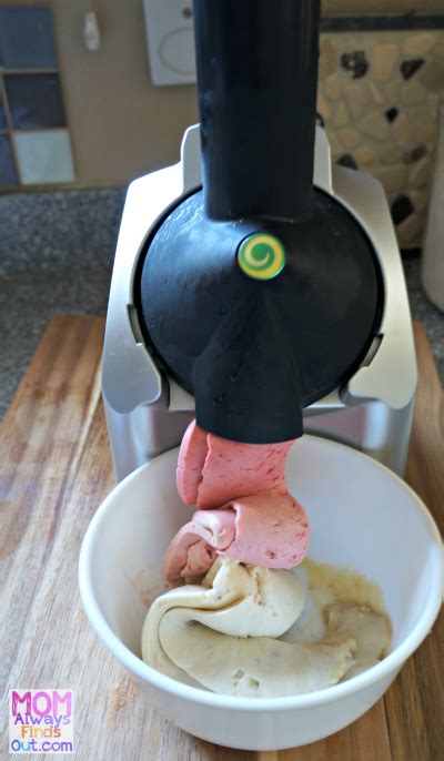 Yonanas: The Creamiest, Healthiest Ice Cream Youll Ever Taste