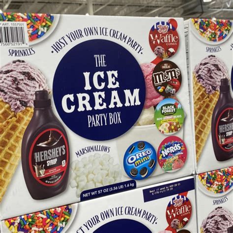 Your Sweet Escape: Embark on an Indulgent Journey with the Costco Ice Cream Maker