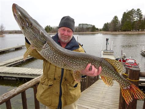 Zippel Bay Ice Fishing: A Comprehensive Guide for Anglers