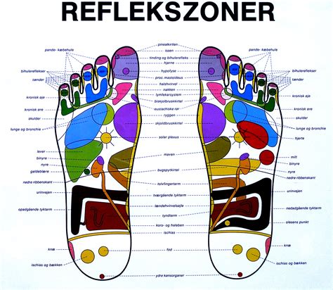 Zonterapi: Punkter på fødderne, der kan ændre dit liv