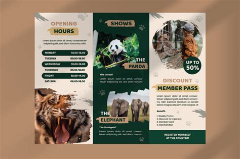 Zoo Brochure Template