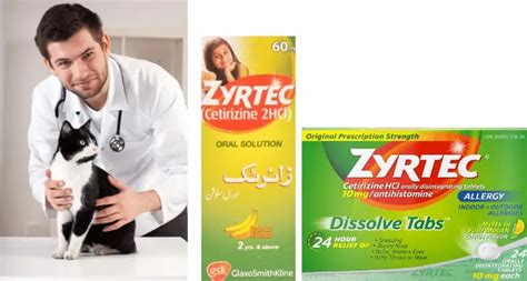 Zyrtec For Cats Dosage Chart