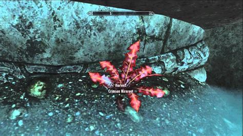 A Return To Your Root Skyrim Walkthrough