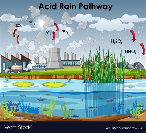 acid rain car diagram 