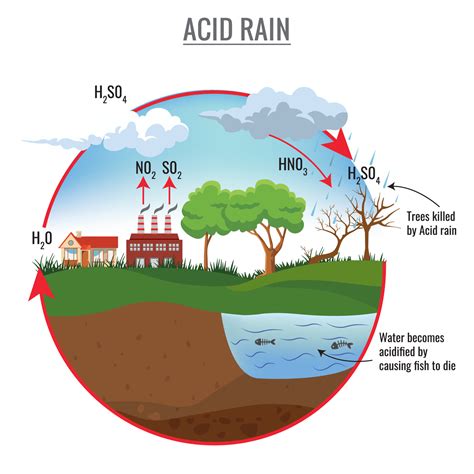 acid rain easy diagram 