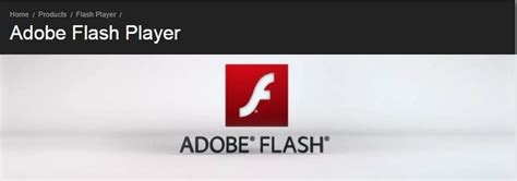 adobe flash player check version, Adobe flash plater 8