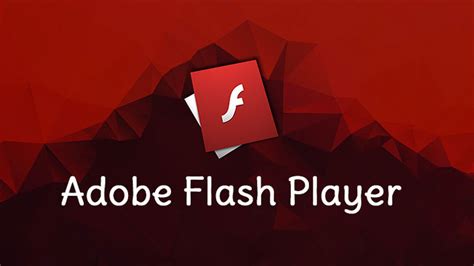 adobe flash player computer bild, تحميل برنامج adobe reader لفتح الملفات بصغة pdf
