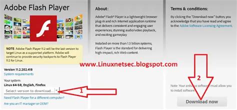 adobe flash player download for kali linux, Kali linux tutorials. Adobe flash player kali linux install