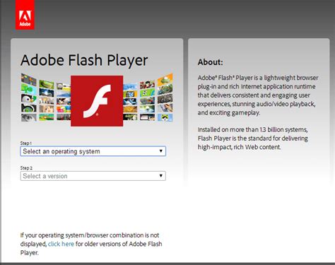 adobe flash player for windows 8 mobile, Adobe flash player 11.7.700.202 for windows 8