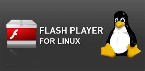 adobe flash player kali linux, Adobe flash player kali linux install. Kali linux tutorials