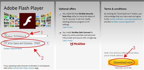 adobe flash player not working on mac chrome, Adobe flash not working chrome mac