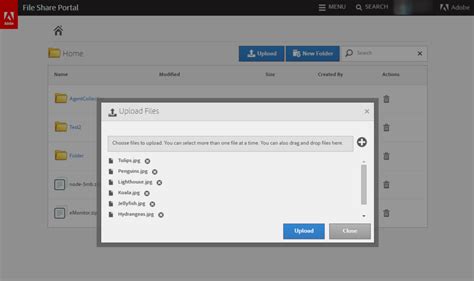 adobe help and support, Adobe help support?