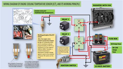 aftermarket performance ect wiring diagram 