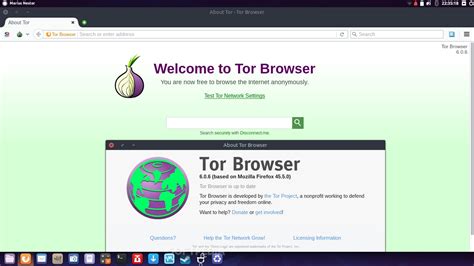 allow adds tor browser, What is the tor browser? and how the dark web browser works (2022)