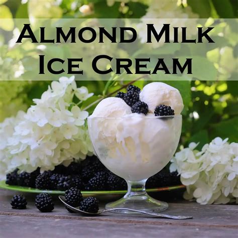 almond milk ice cream recipe for ice cream maker