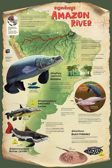 amazon river