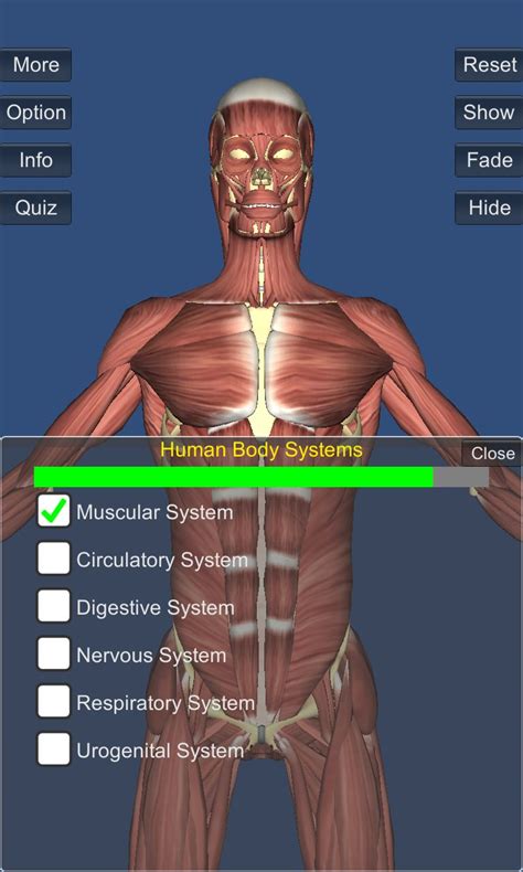 Anatomy Game Walkthrough