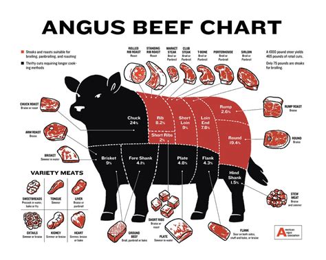 angus cows meat diagram 