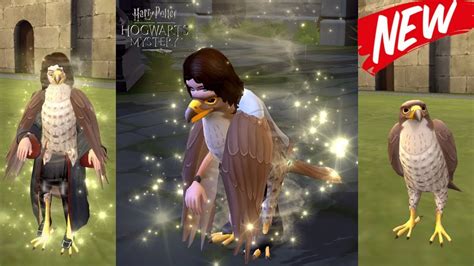 Animagus Quest Walkthrough