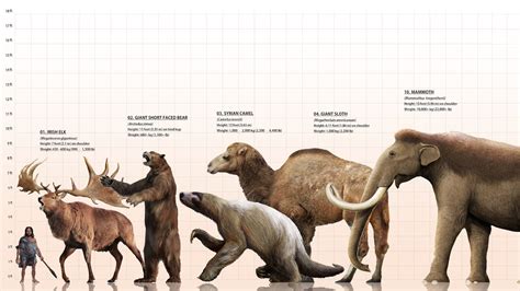 animals from the ice age