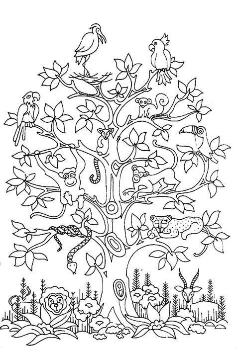 animals in trees coloring pages, Many animals live in trees coloring page