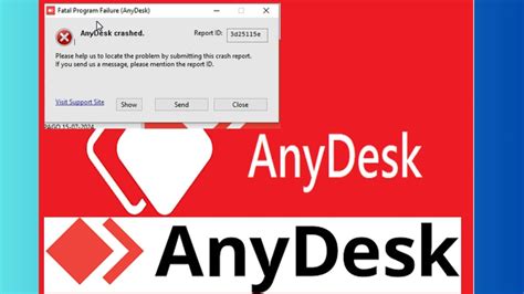 anydesk crashed fatal error, How to resolve the 