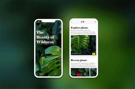 app ui nature background, Justina light. Light, nature themed app ui design. on behance