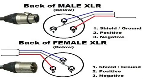 audio xlr wiring multiple speakers 