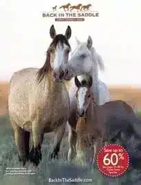 Back In Saddle Catalog