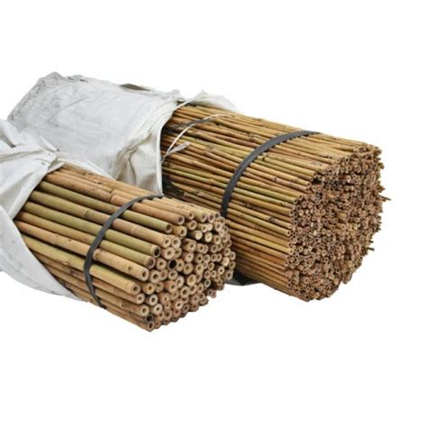bambukäppar