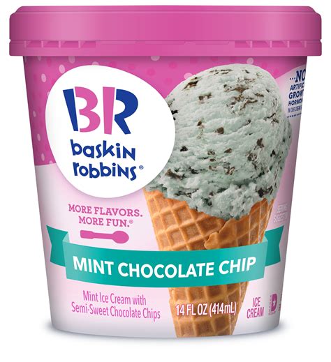 baskin robbins mint chocolate chip ice cream
