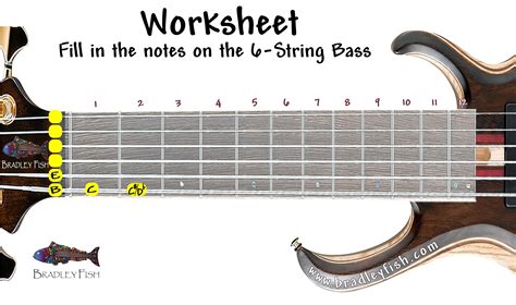 bass guitar string diagram 