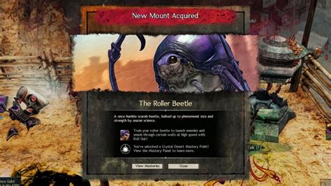 Beetle Feed Walkthrough