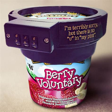 ben and jerry ice cream lock