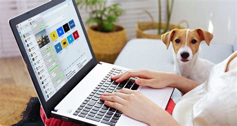 benefits of using opera browser, Browsers for every device