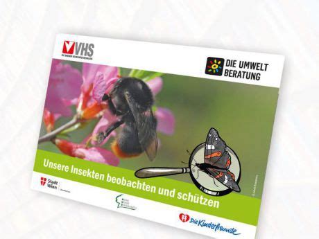 beobachten Elser