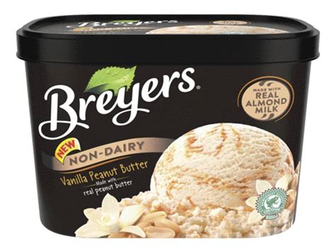 best non dairy ice creams