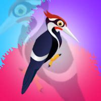 Bird Escape Walkthrough