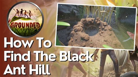 Black Ant Hill Walkthrough