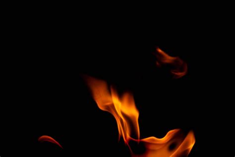 black fire background 8x10, Black fire background stock photos, images and backgrounds for free