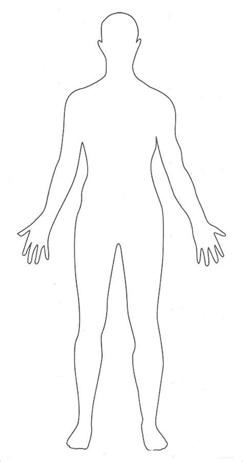 blank anatomical diagrams human body 