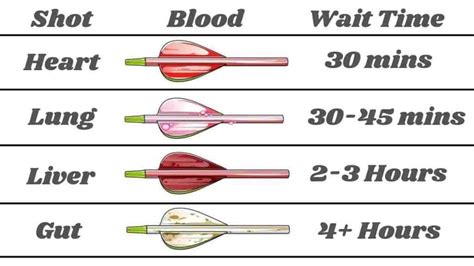 Blood On Arrow Chart