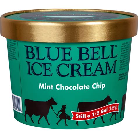 blue bell ice cream mint chocolate chip