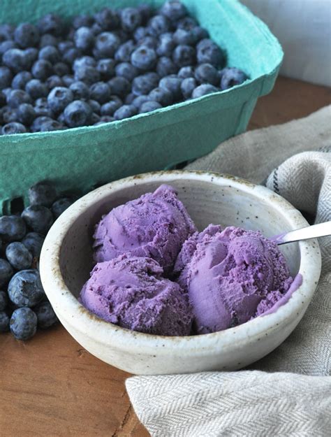 blueberry ice cream homemade