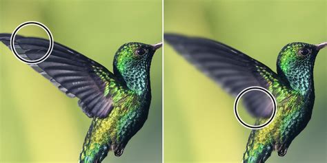 blur tool adobe flash, How to use the blur and sharpen tool in photoshop?