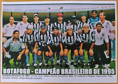 botafogo campeão brasileiro 1995