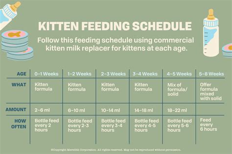 Bottle Feeding Kitten Chart